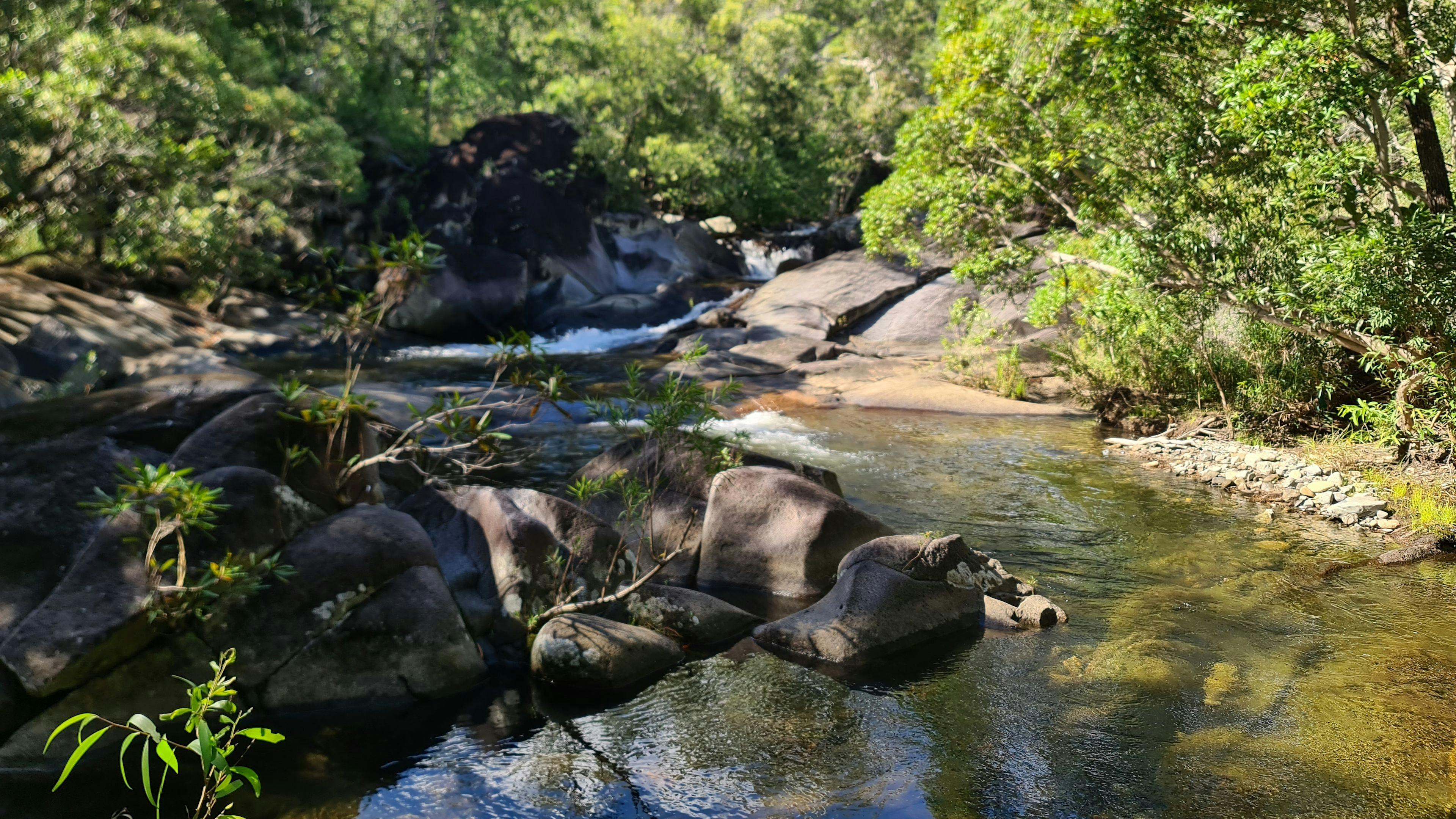 Scrubby Creek Trevethan Falls