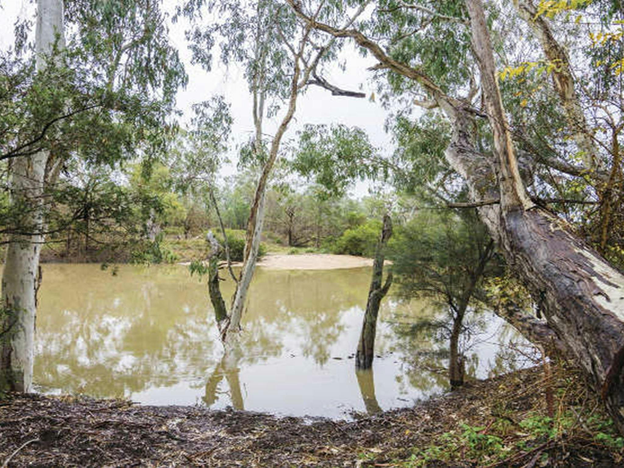 Kwiambal National Park