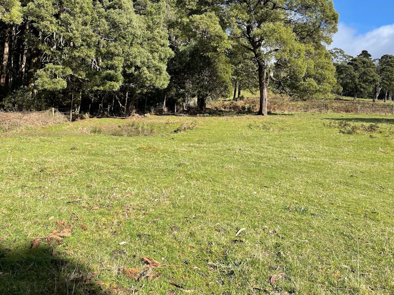 Camp area