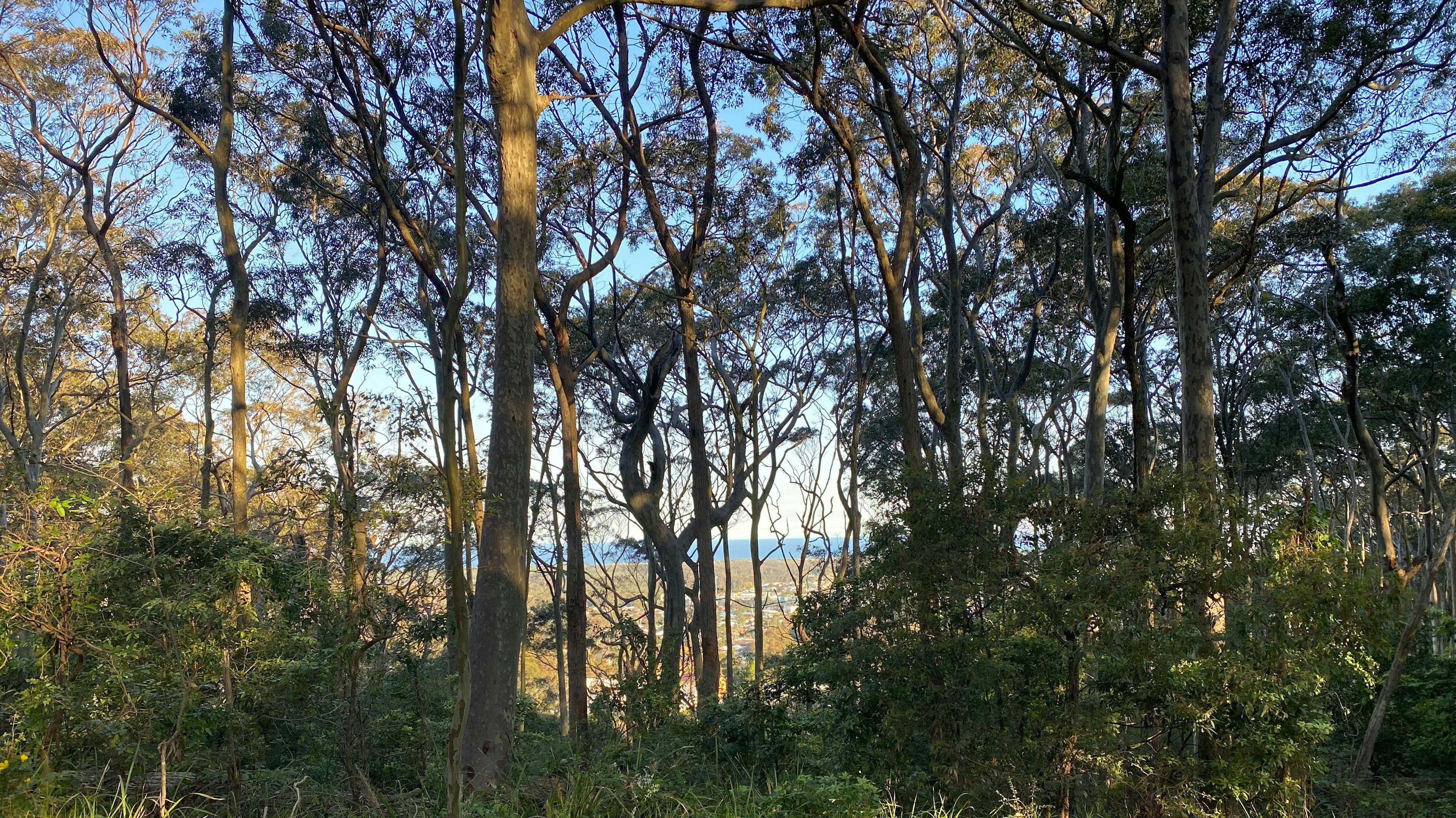 Ocean views on parts of property not a campsite. 