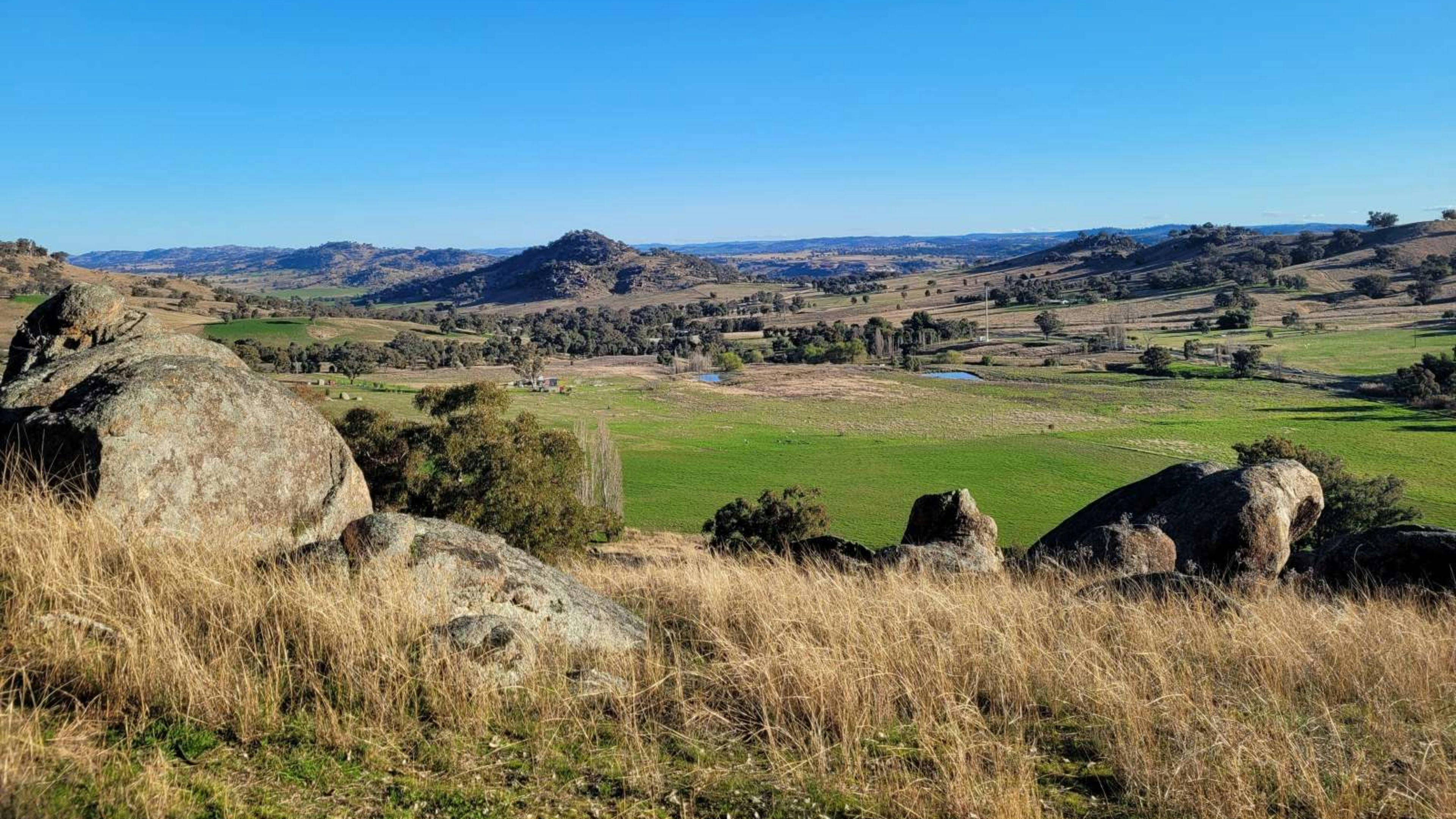 La Paloma Farm