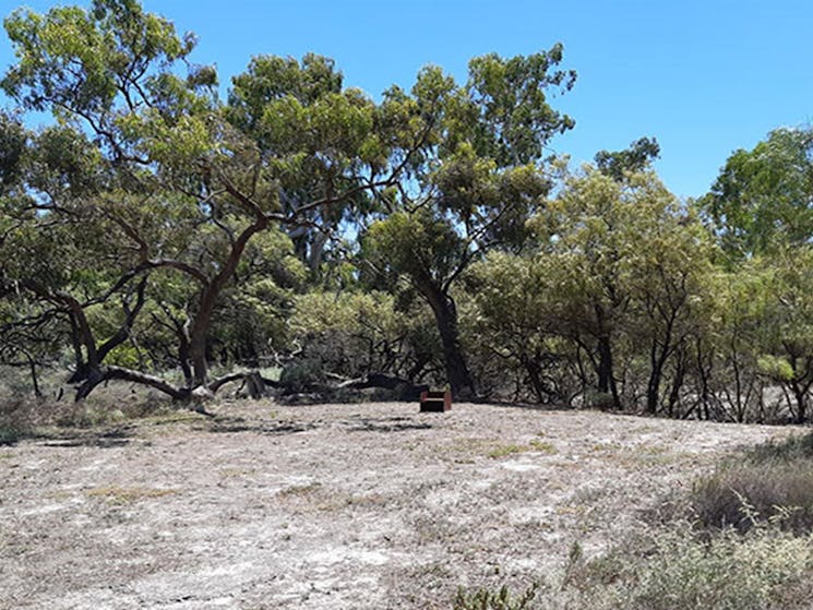 A wood barbecue at one of the campsites in Lachlan River campground, surrounded by red river gums