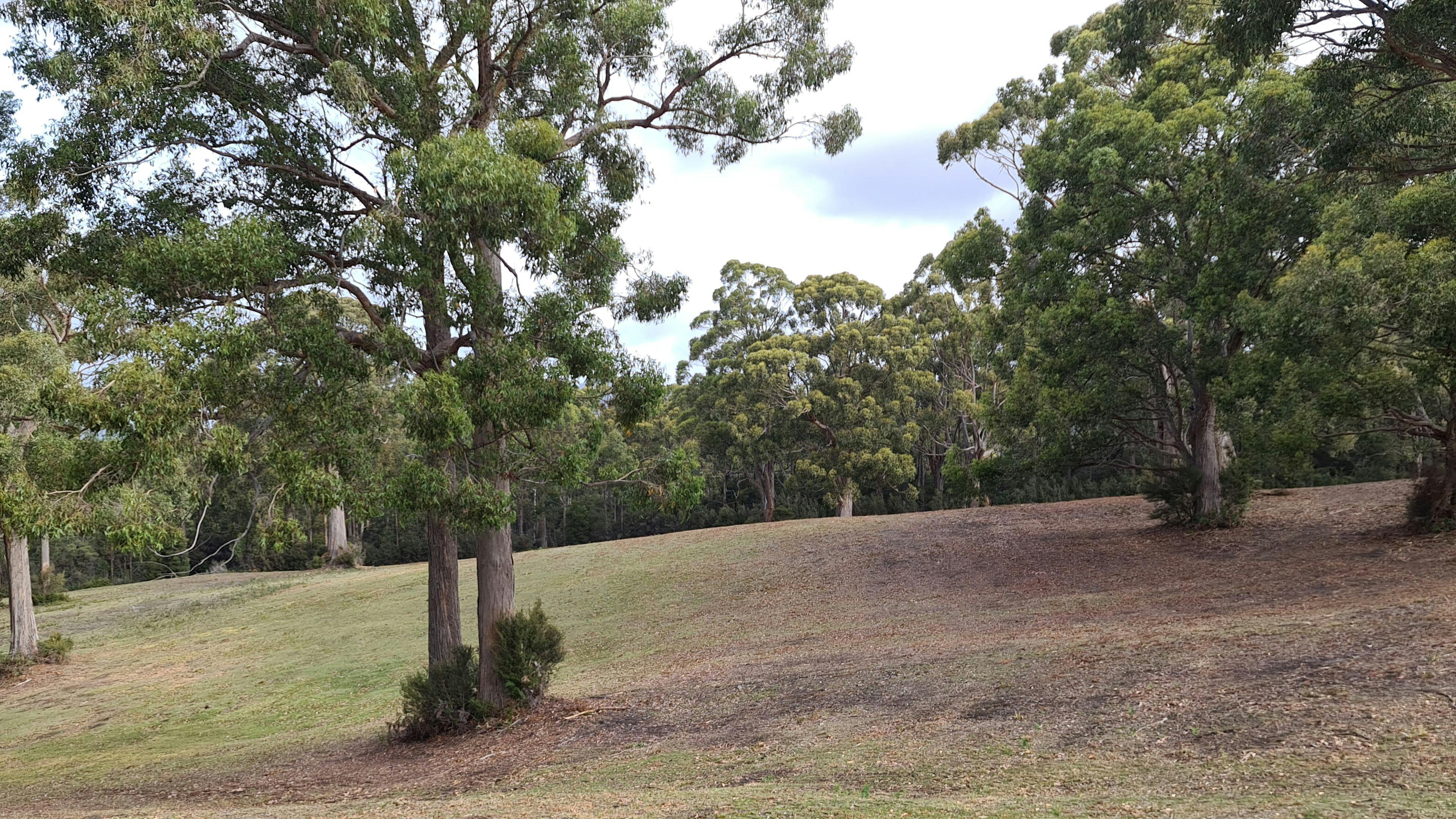 Ladychapel Camp Grounds