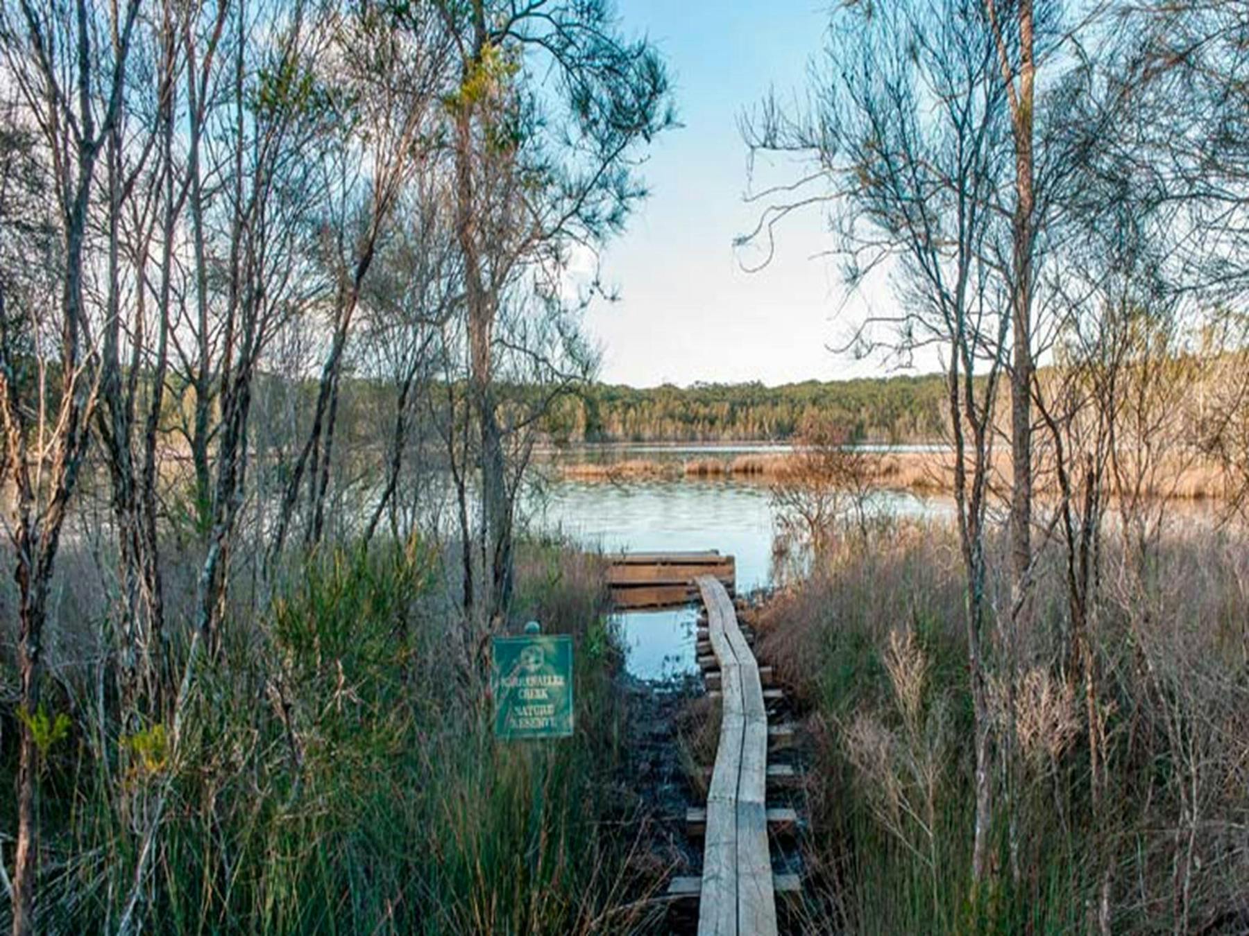 Pattimores Lagoon, Narrawallee National Park. Photo: Michael van Ewijk © OEH