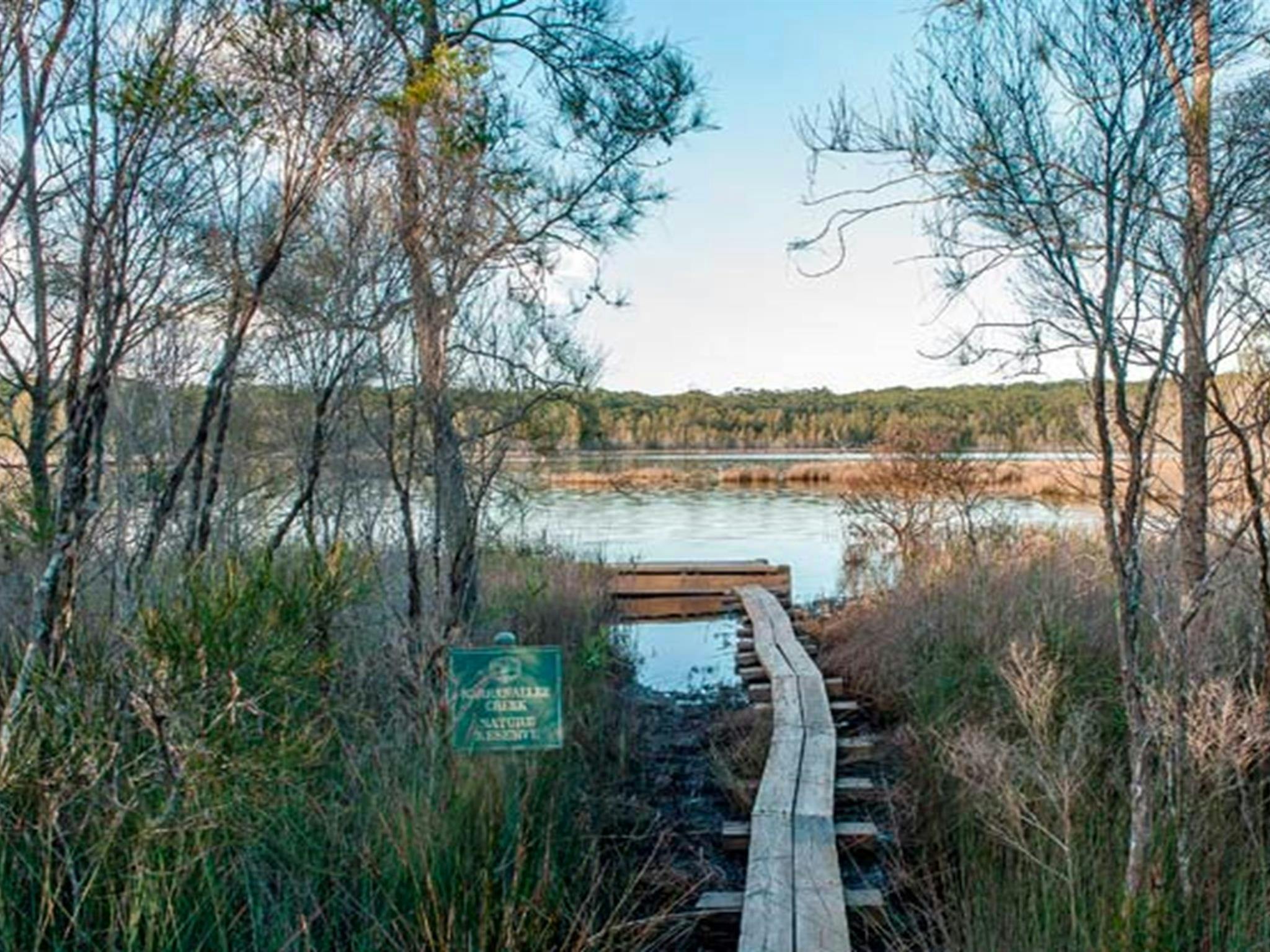 Pattimores Lagoon, Narrawallee National Park. Photo: Michael van Ewijk &copy; OEH