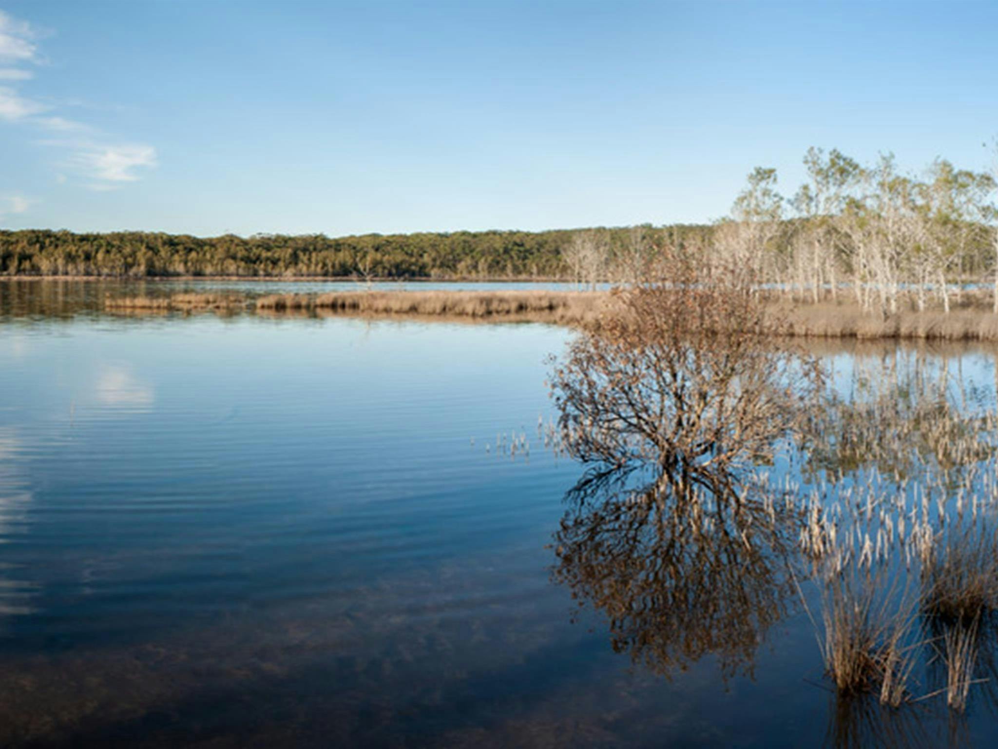 Pattimores Lagoon, Narrawallee National Park. Photo: Michael van Ewijk &copy; OEH