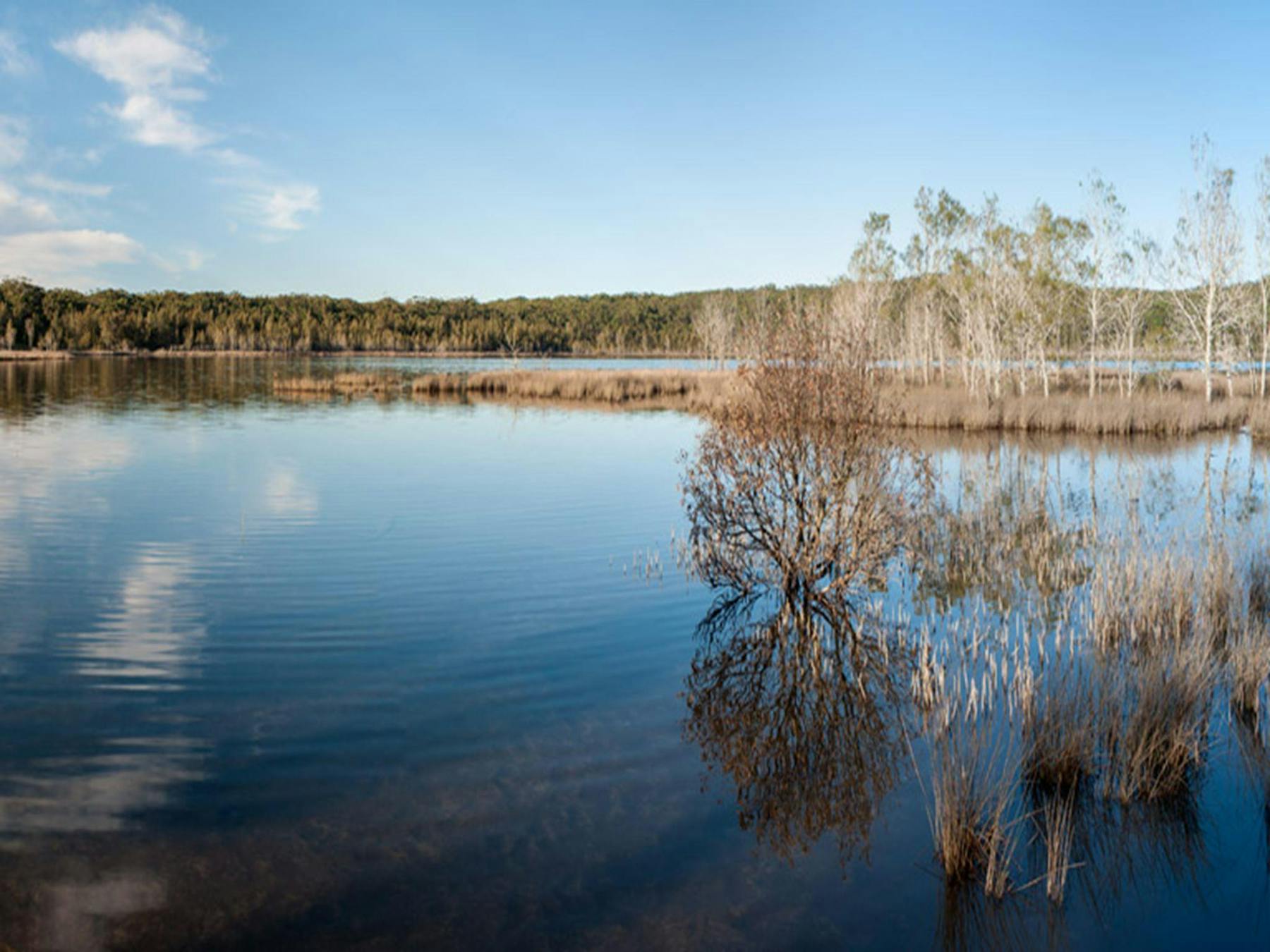 Pattimores Lagoon, Narrawallee National Park. Photo: Michael van Ewijk © OEH