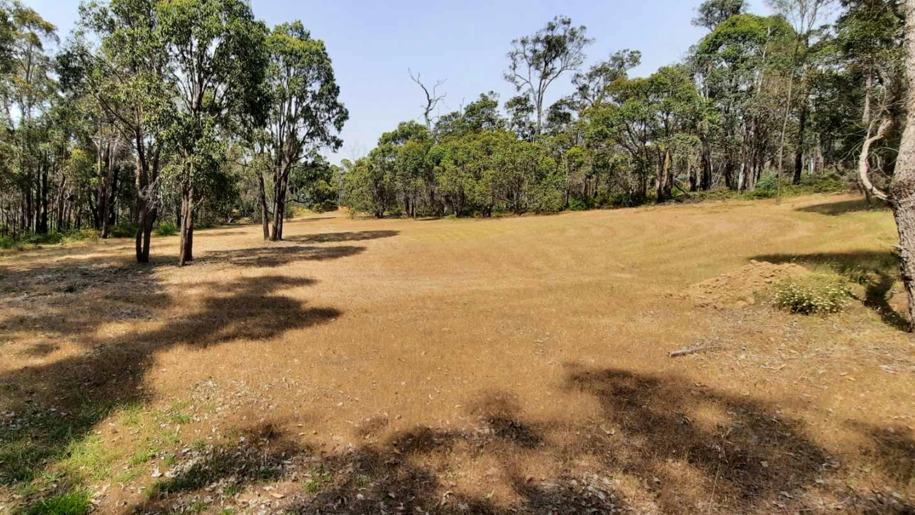 Laguna Vista