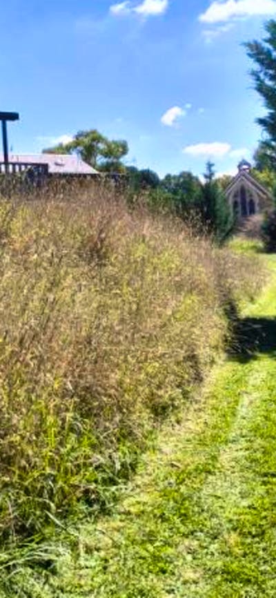 Lake Bathurst Accommodation 1243