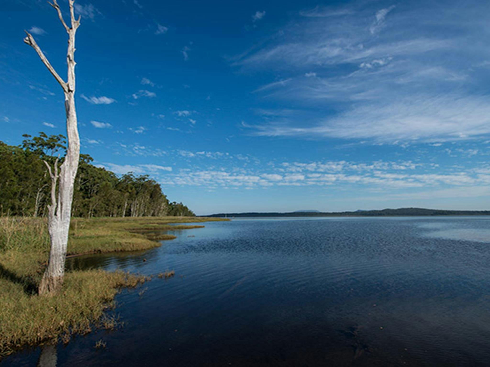 Lake Innes Nature Reserve. Photo: John Spencer &copy: DPIE