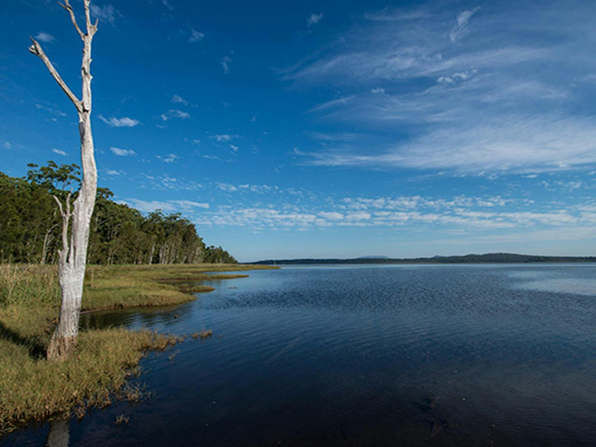 Naturschutzgebiet Lake Innes. Foto: John Spencer & Copyright: DPIE