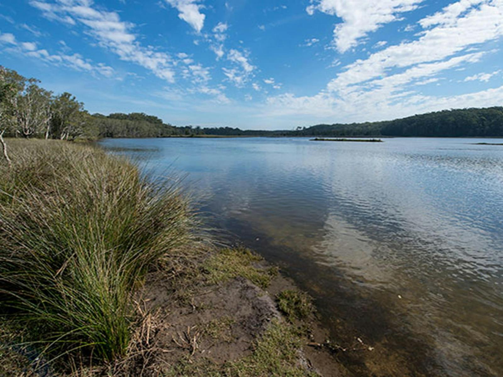 Lake Innes Nature Reserve | NSW Holidays & Accommodation, Things to Do ...