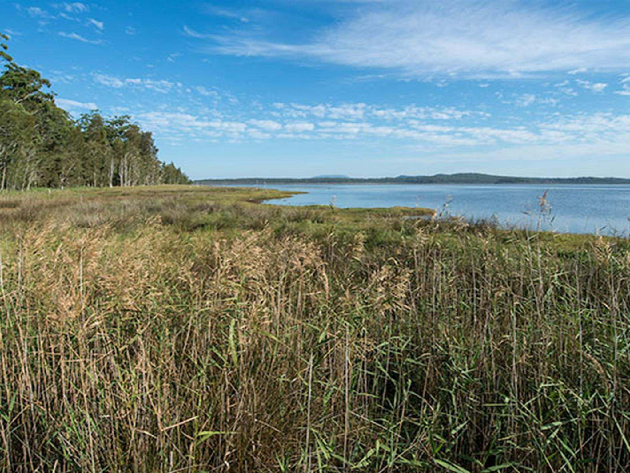Naturschutzgebiet Lake Innes. Foto: John Spencer & Copyright: DPIE