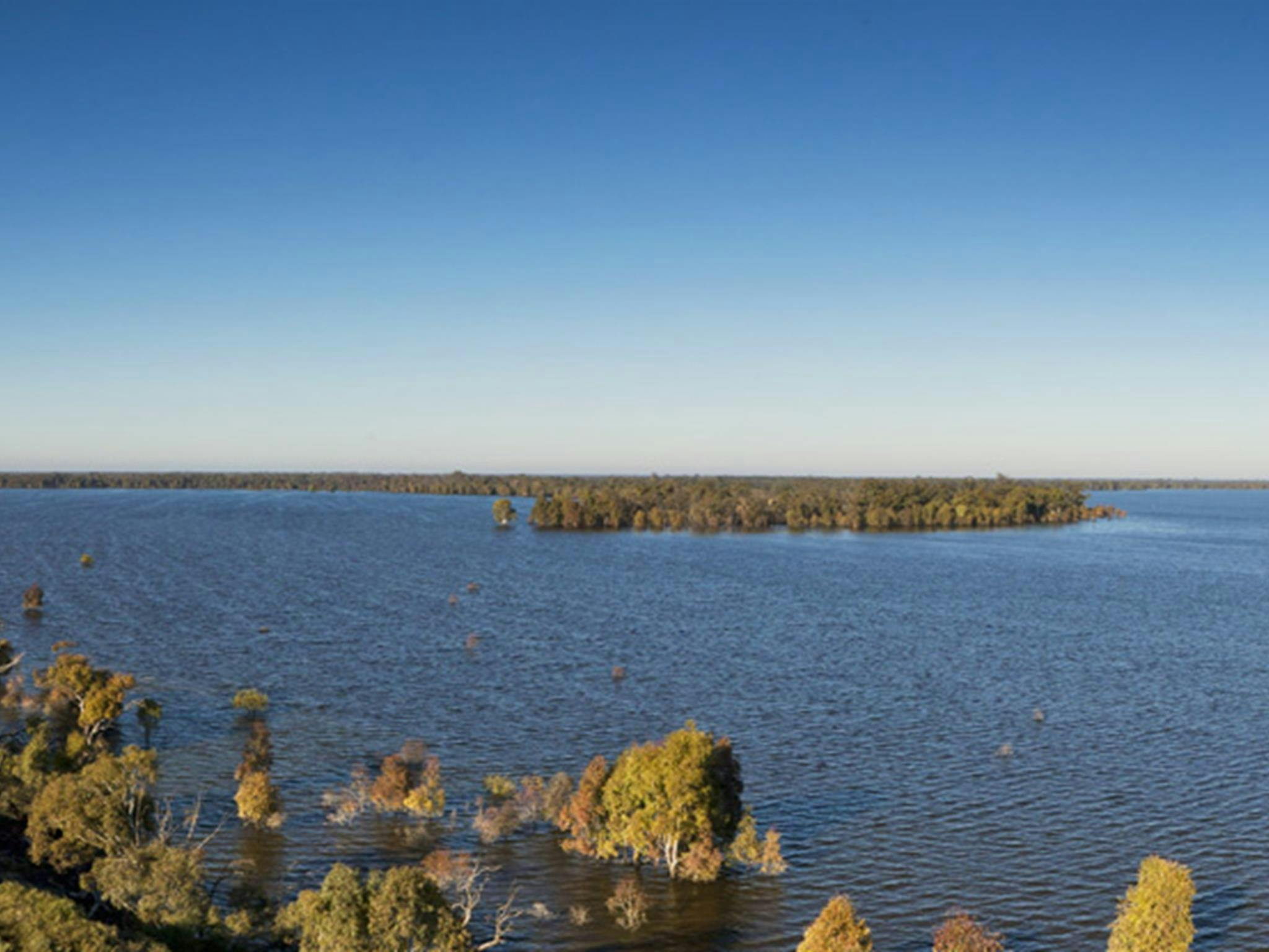 Aussichtsplattform am Yanga-See