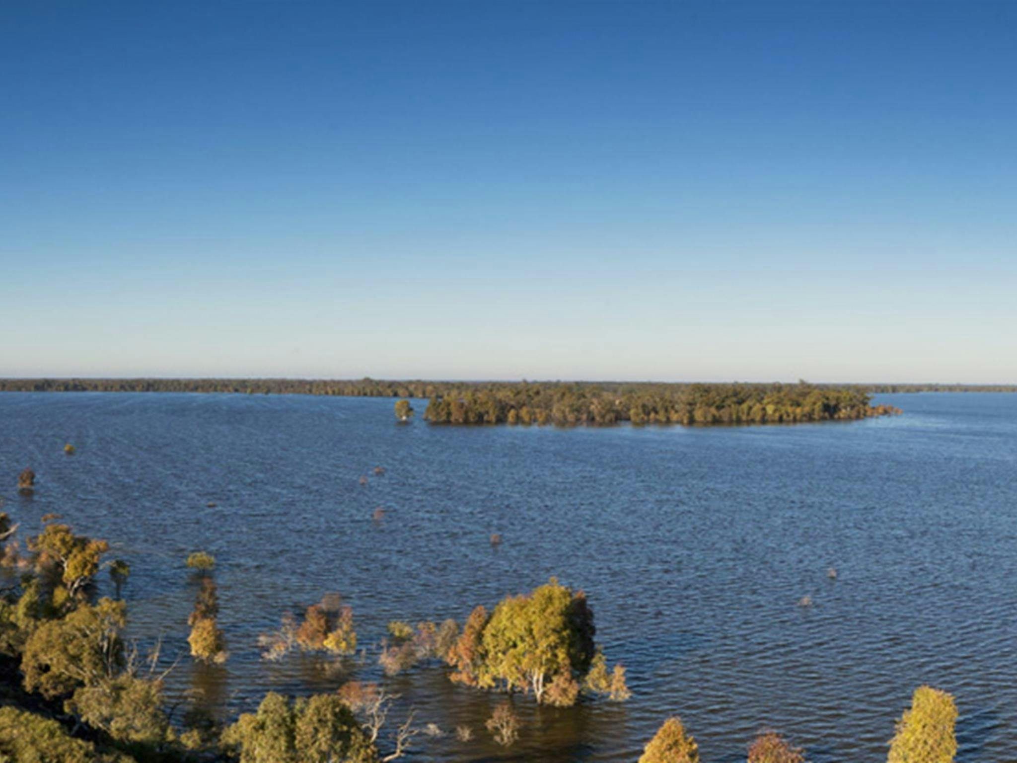 Yanga Lake Viewing Deck