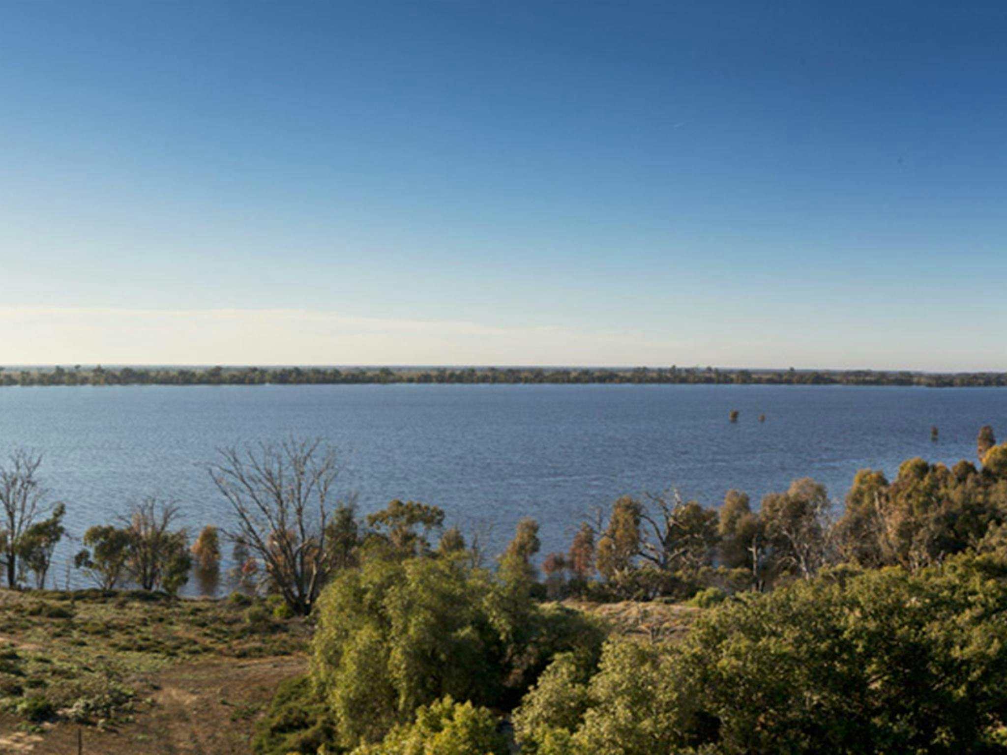Yanga Lake viewing deck, Yanga National Park. Photo: David Finnegan &copy; OEH