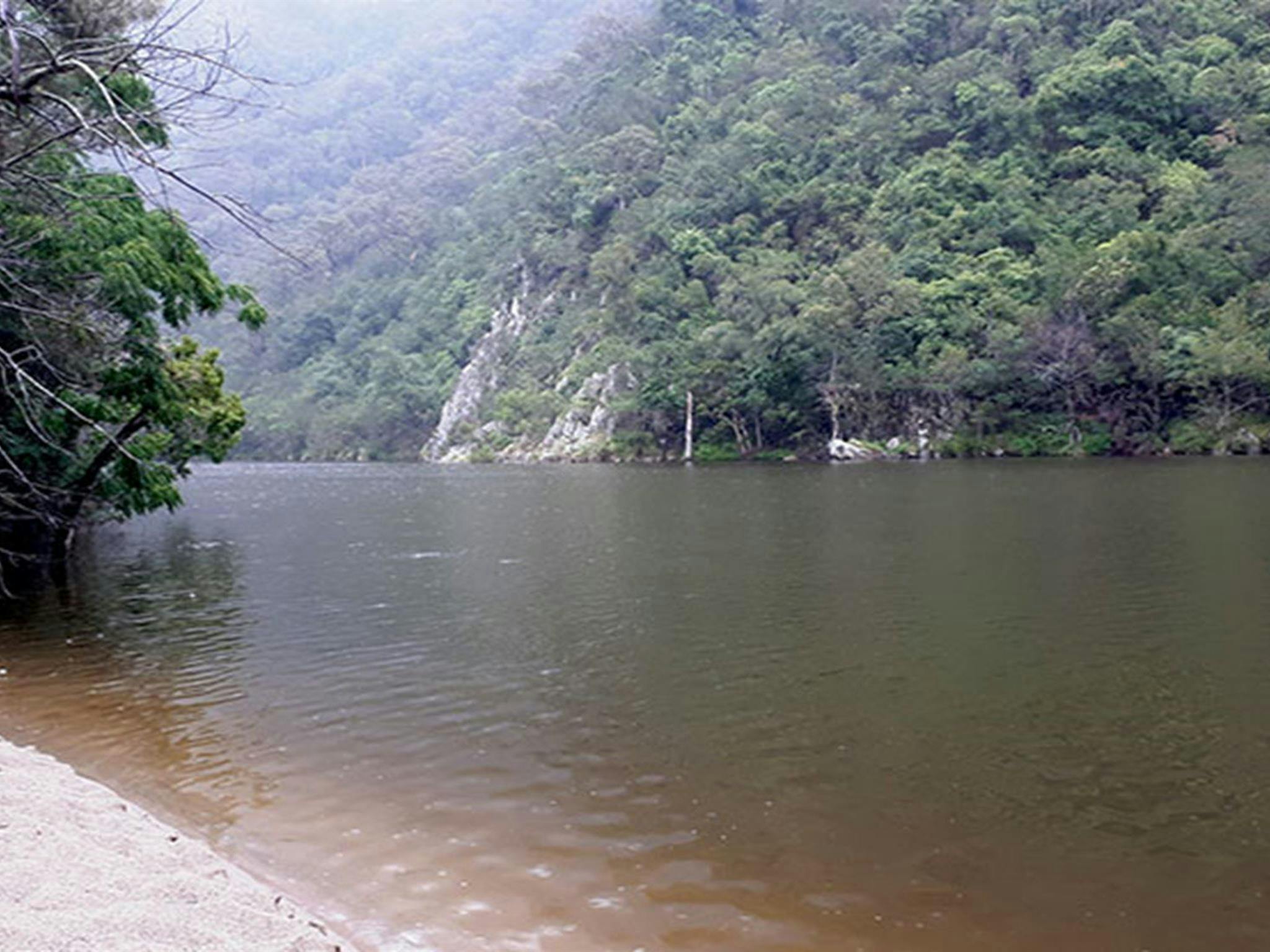 Lake Yarrunga campgrounds: Shoalhaven River