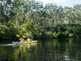 People kayaking on Lane Cove River, Lane Cove National Park. Photo: OEH/Caravel Content