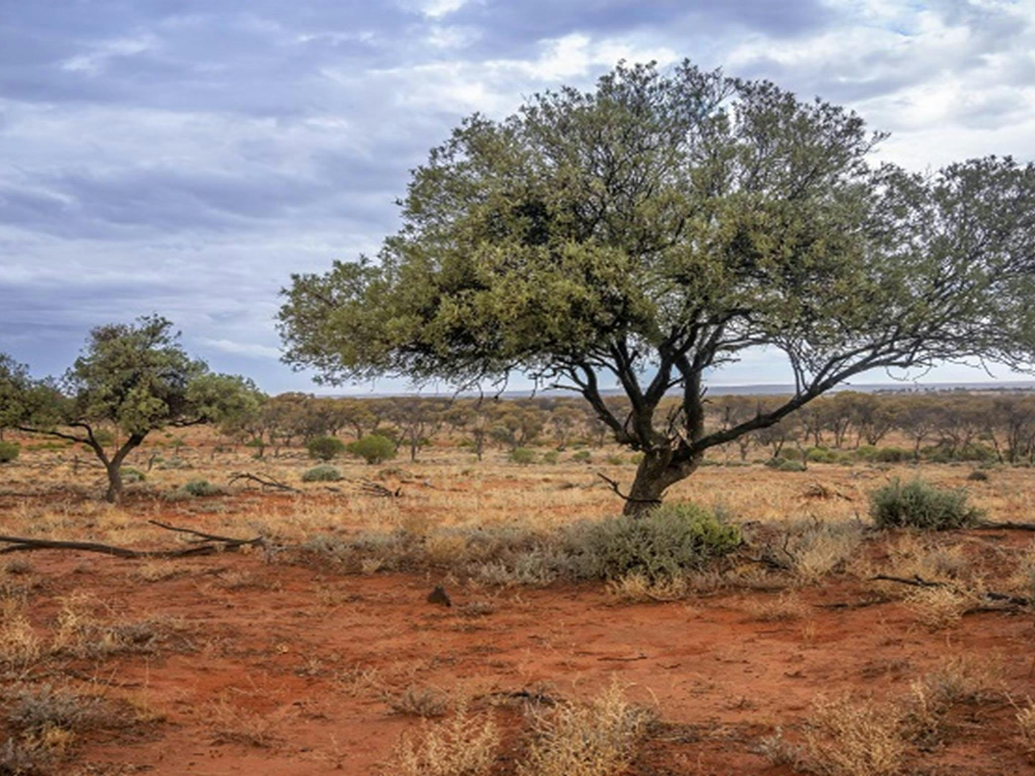 Langidoon-Metford State Conservation Area
