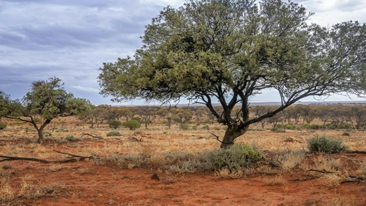 Langidoon-Metford State Conservation Area