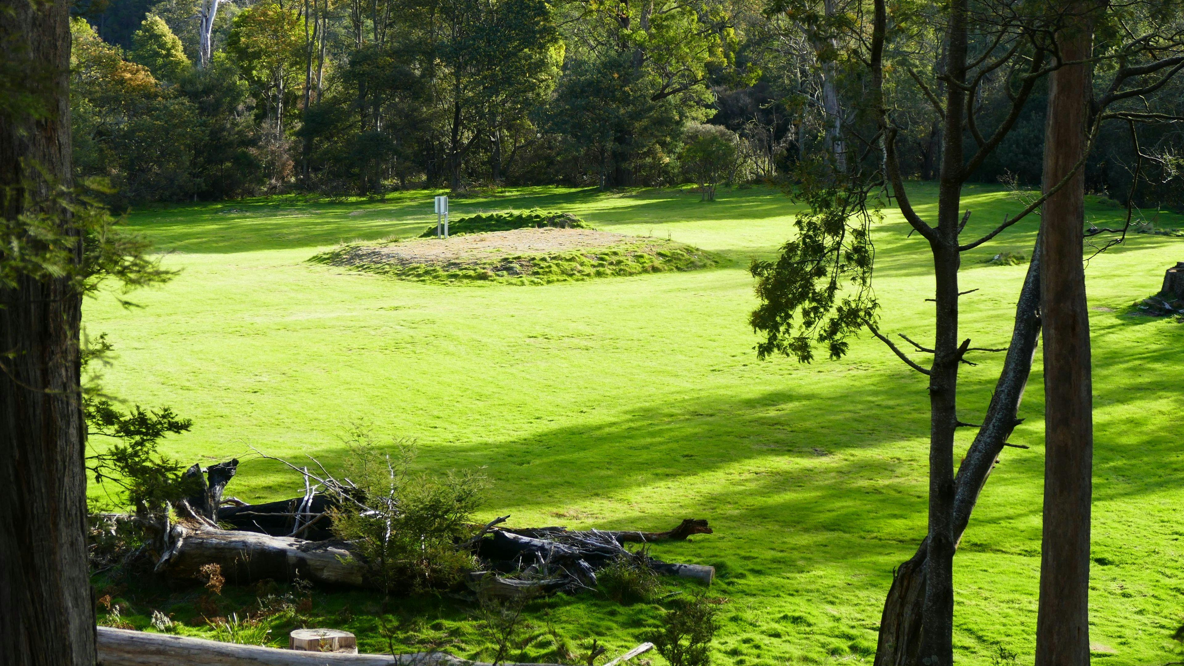 The main camping area.
