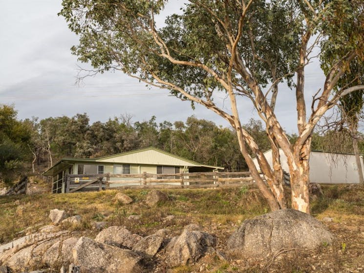 The exterior of Lavender Vale Cottage surrounded by trees in Kwiambal National Park. Photo &copy;