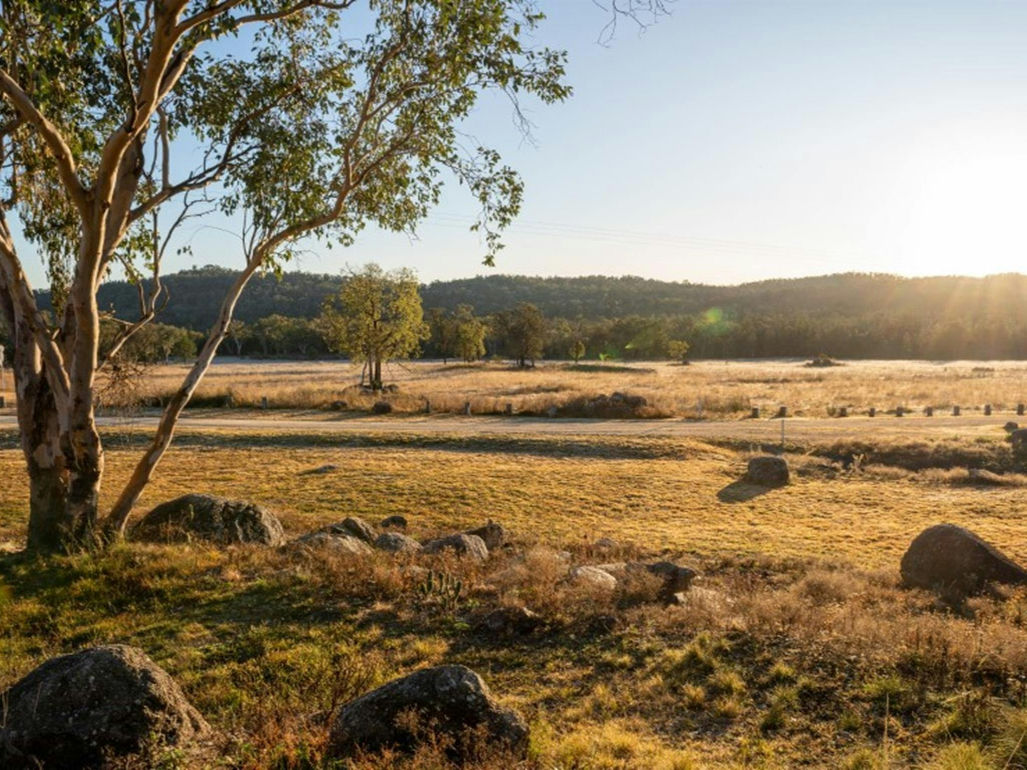 The view across a scenic plain from Lavender Vale Cottage in Kwiambal National Park. Photo &copy;