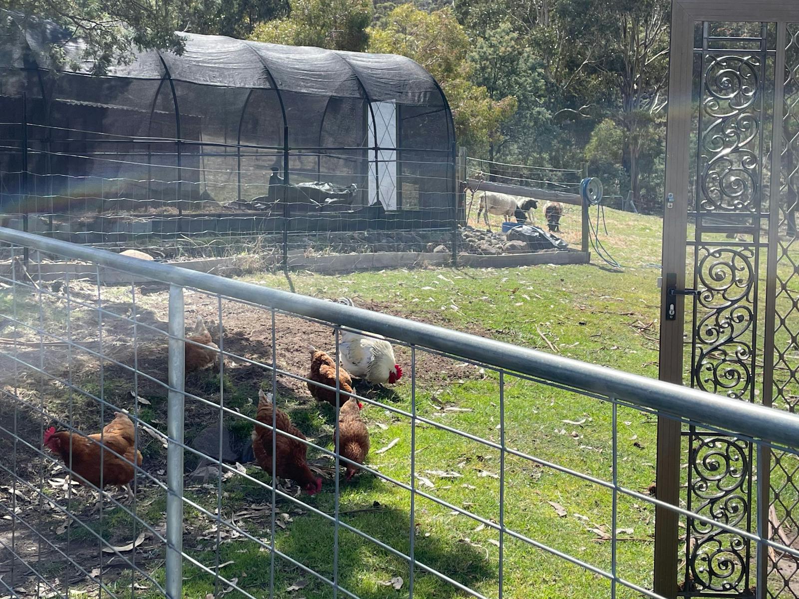 Lazy Lab Farms