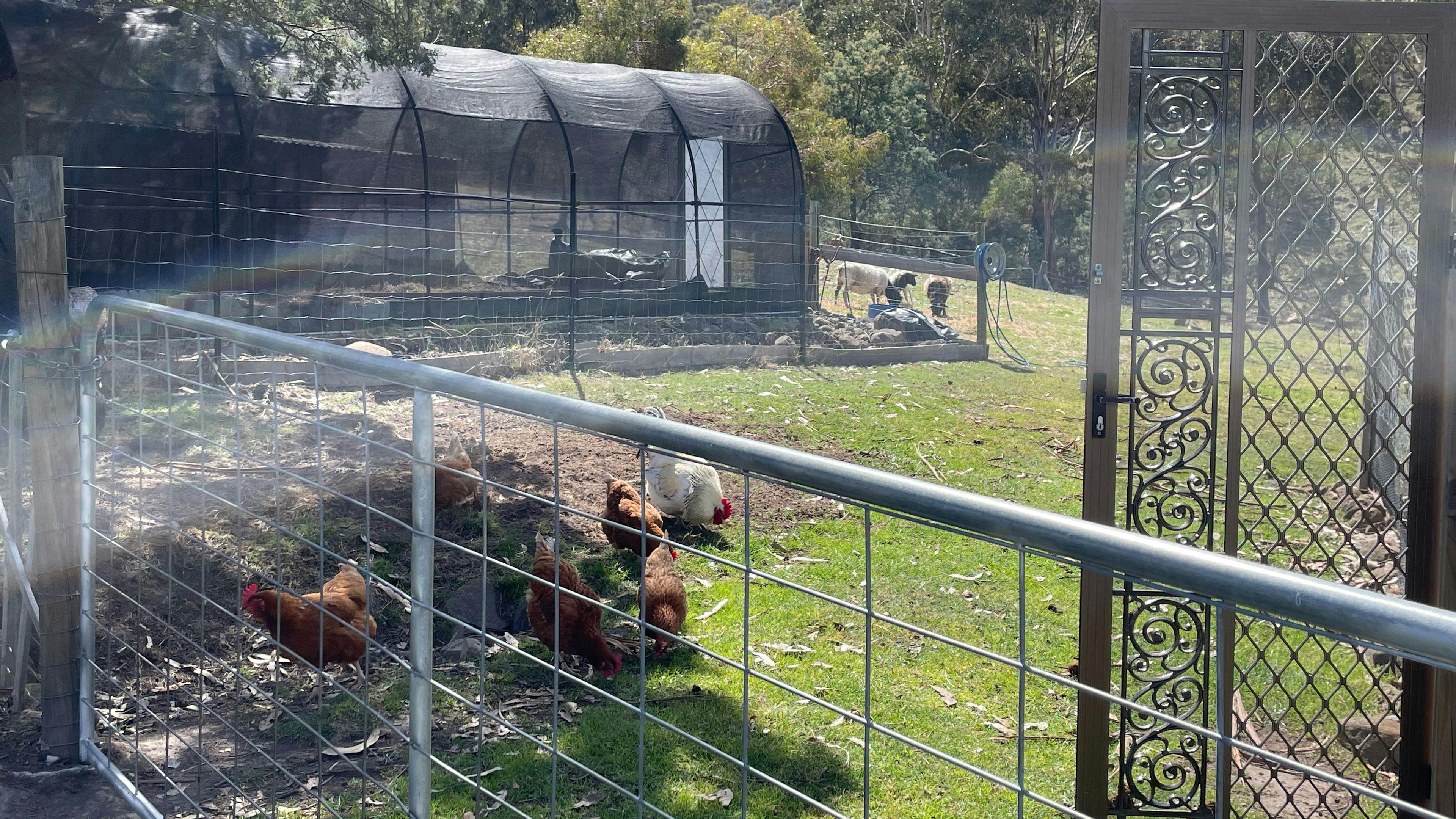 Lazy Lab Farms