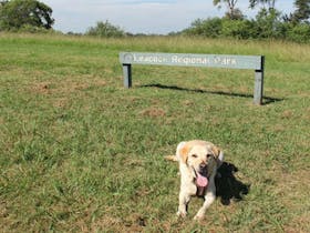 Dog sitting near sign in Leacock Regional Park. Photo: John Spencer © DPIE