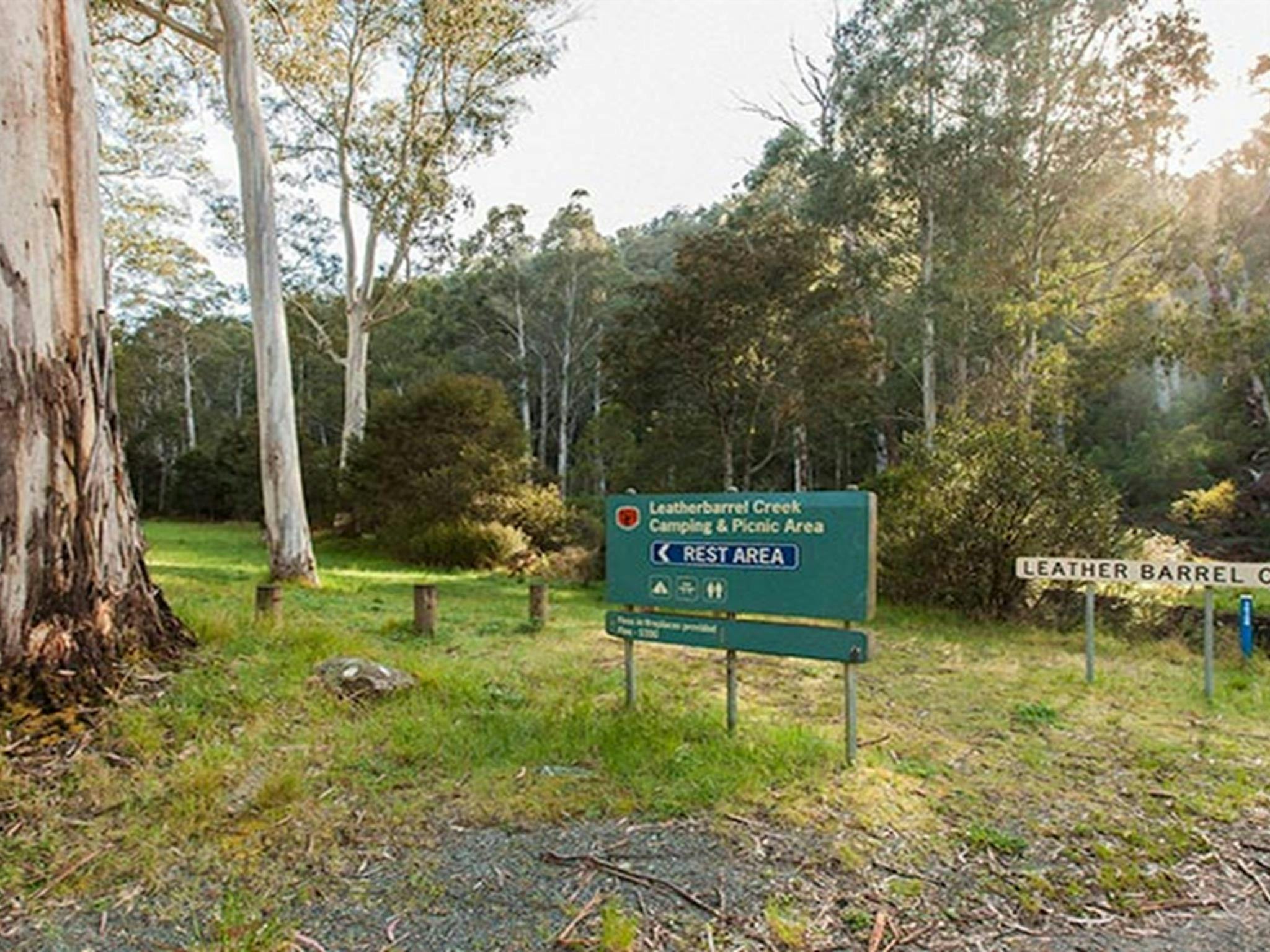 Leatherbarrel Creek picnic area, Kosciuszko National Park. Photo: Murray Vanderveer &copy; DPIE