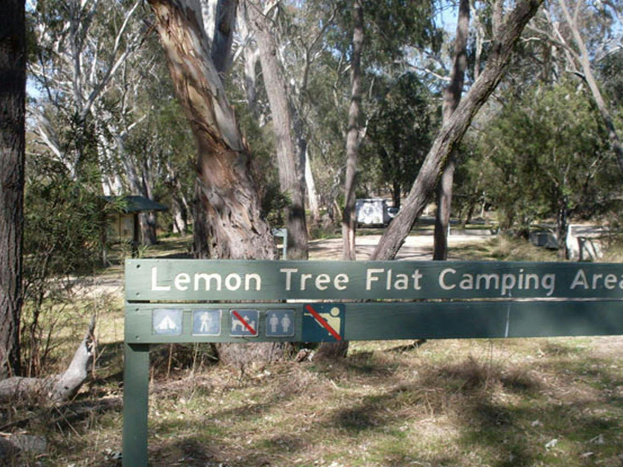 레몬 트리 플랫 캠핑장 퀴암발 국립공원. 사진: OEH