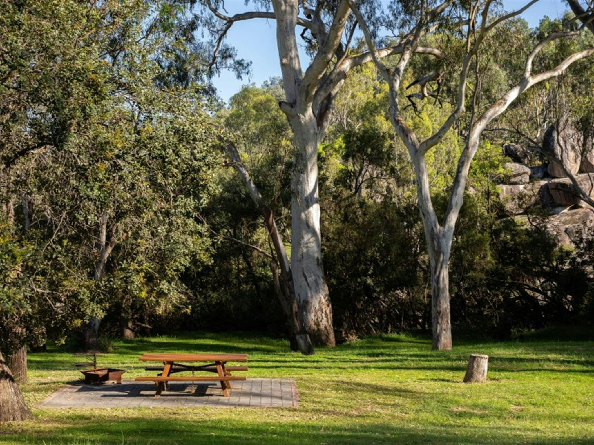Campingplatz Lemon Tree Flat
