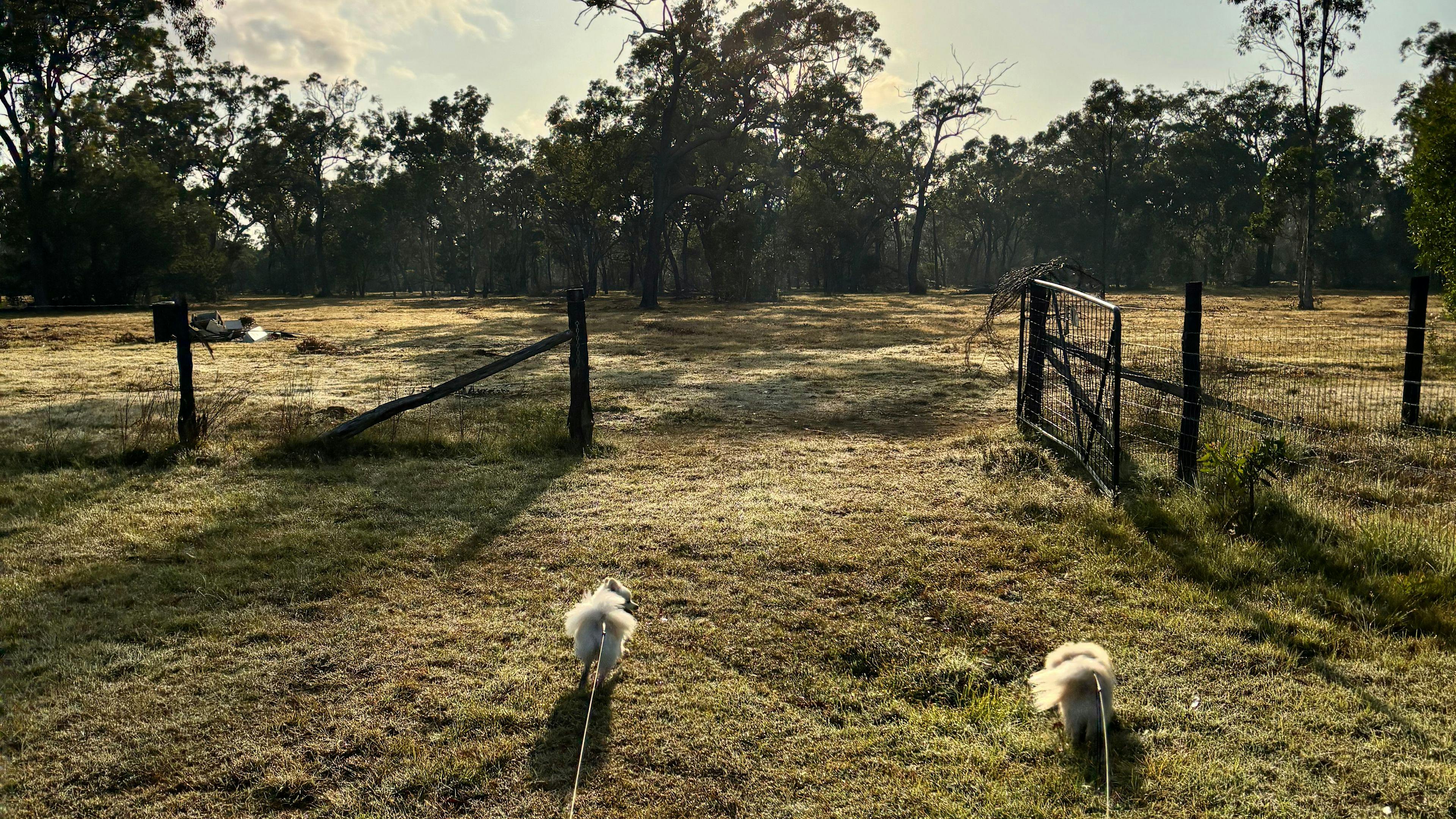 Lenlie Farm