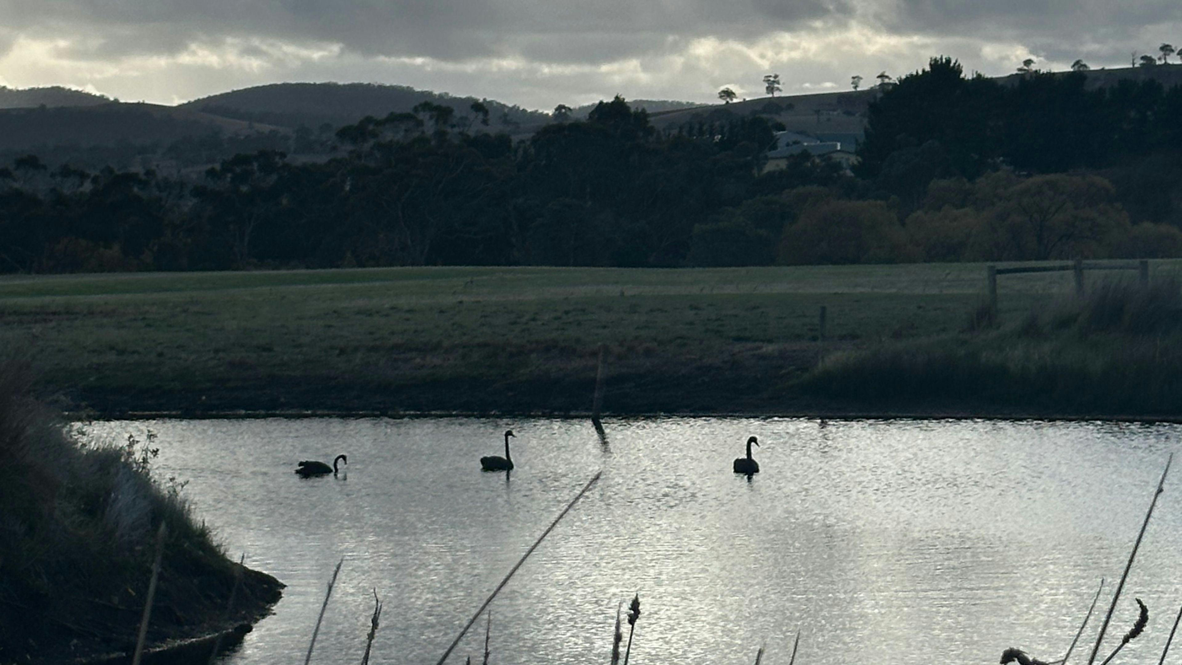 Lennoch Farm stay