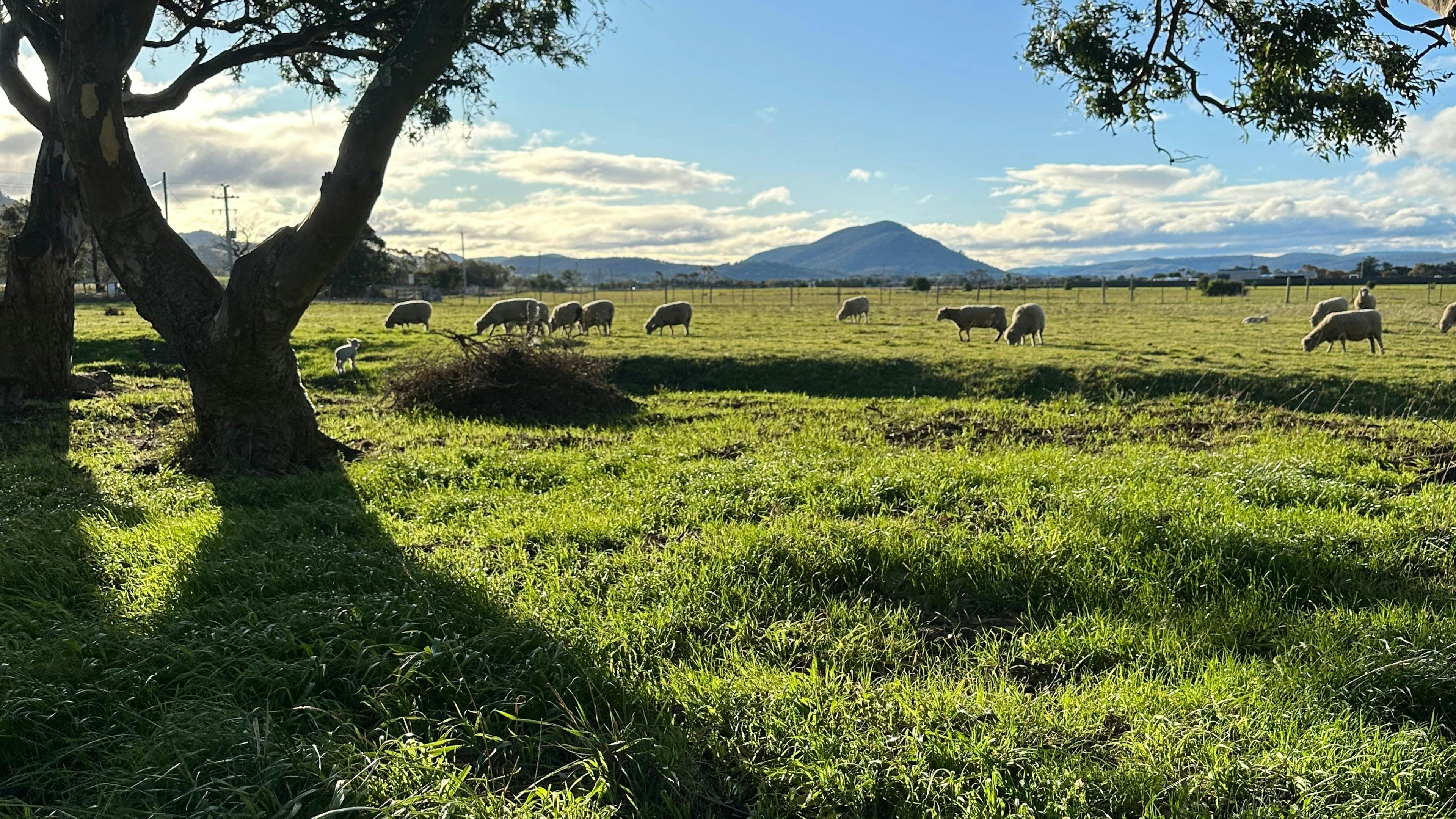 Lennoch Farm stay