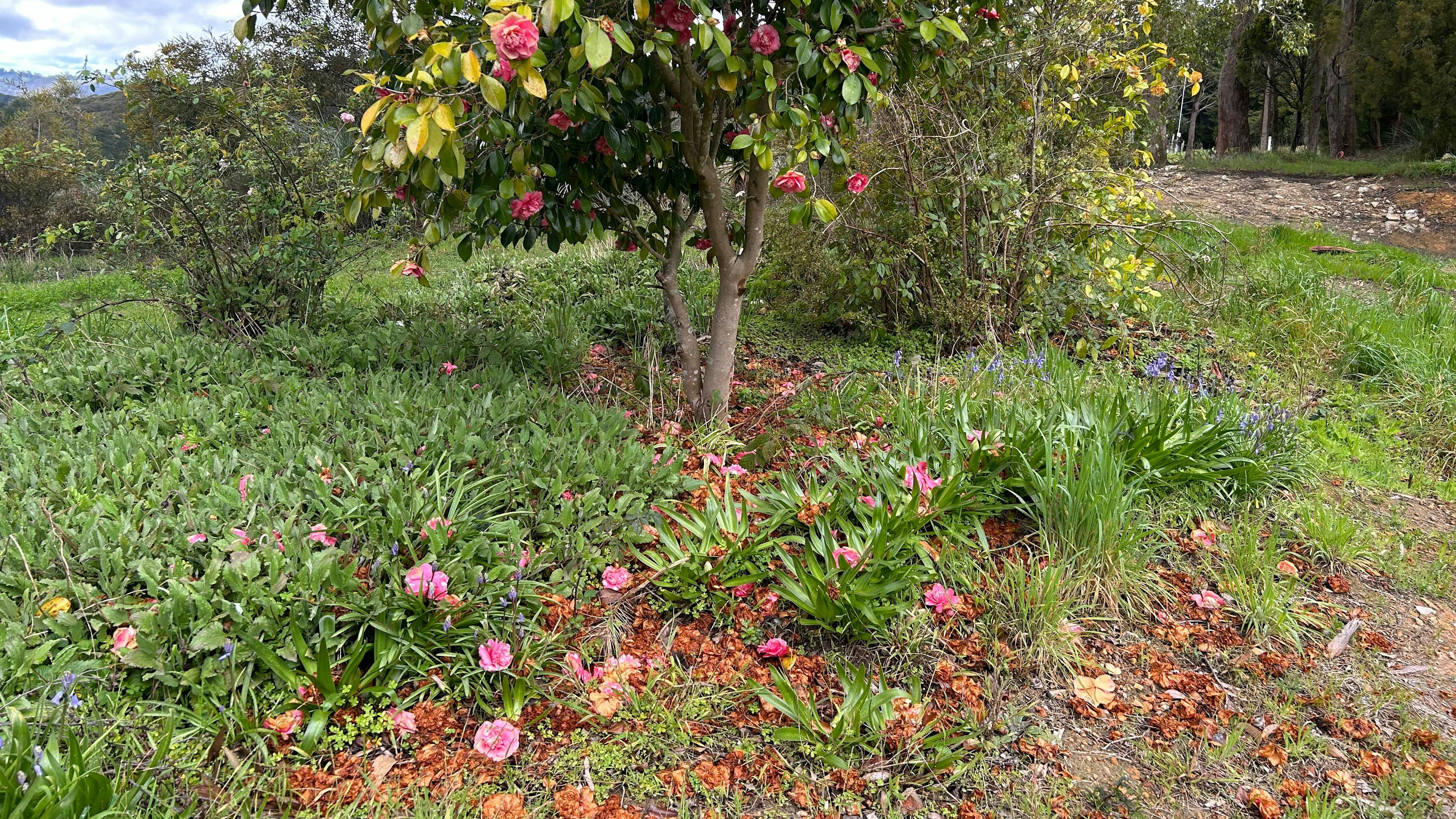 Adelaide Hills Magical Retreat
