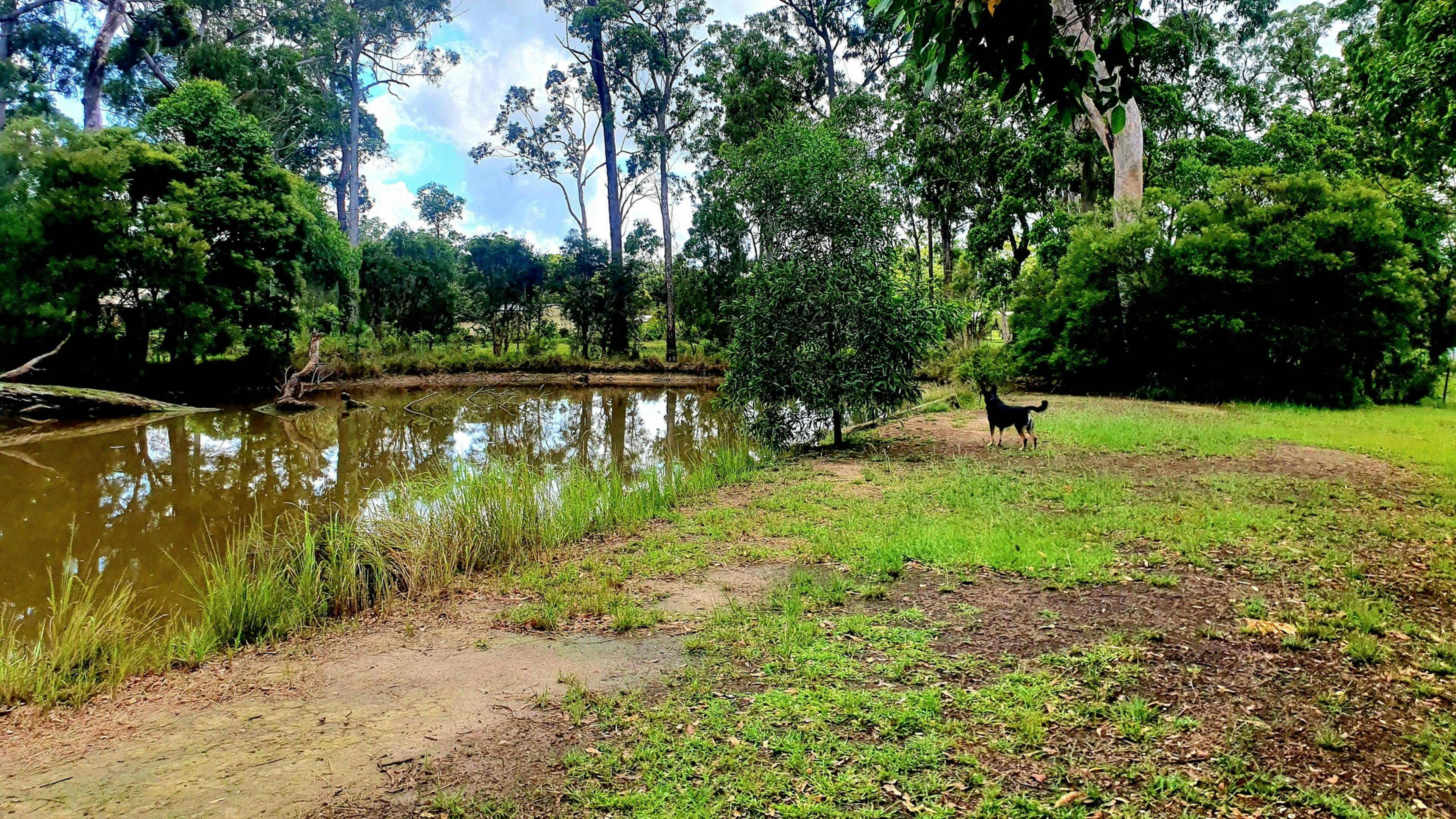 로스페르고스 에코 어코모데이션