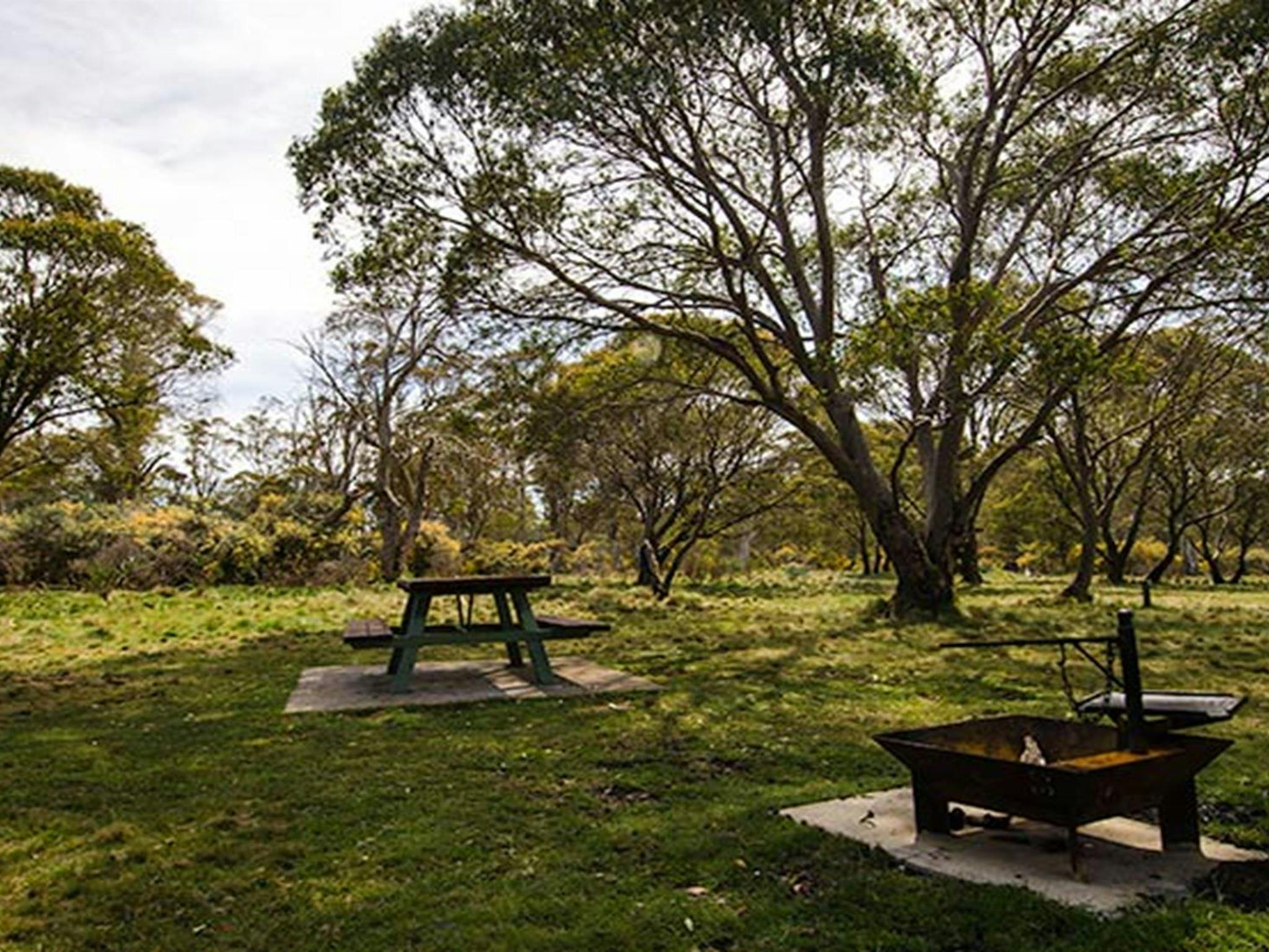 리틀 머레이 캠핑장 배링턴 탑스 국립공원. 사진: 존 스펜서/NSW 정부