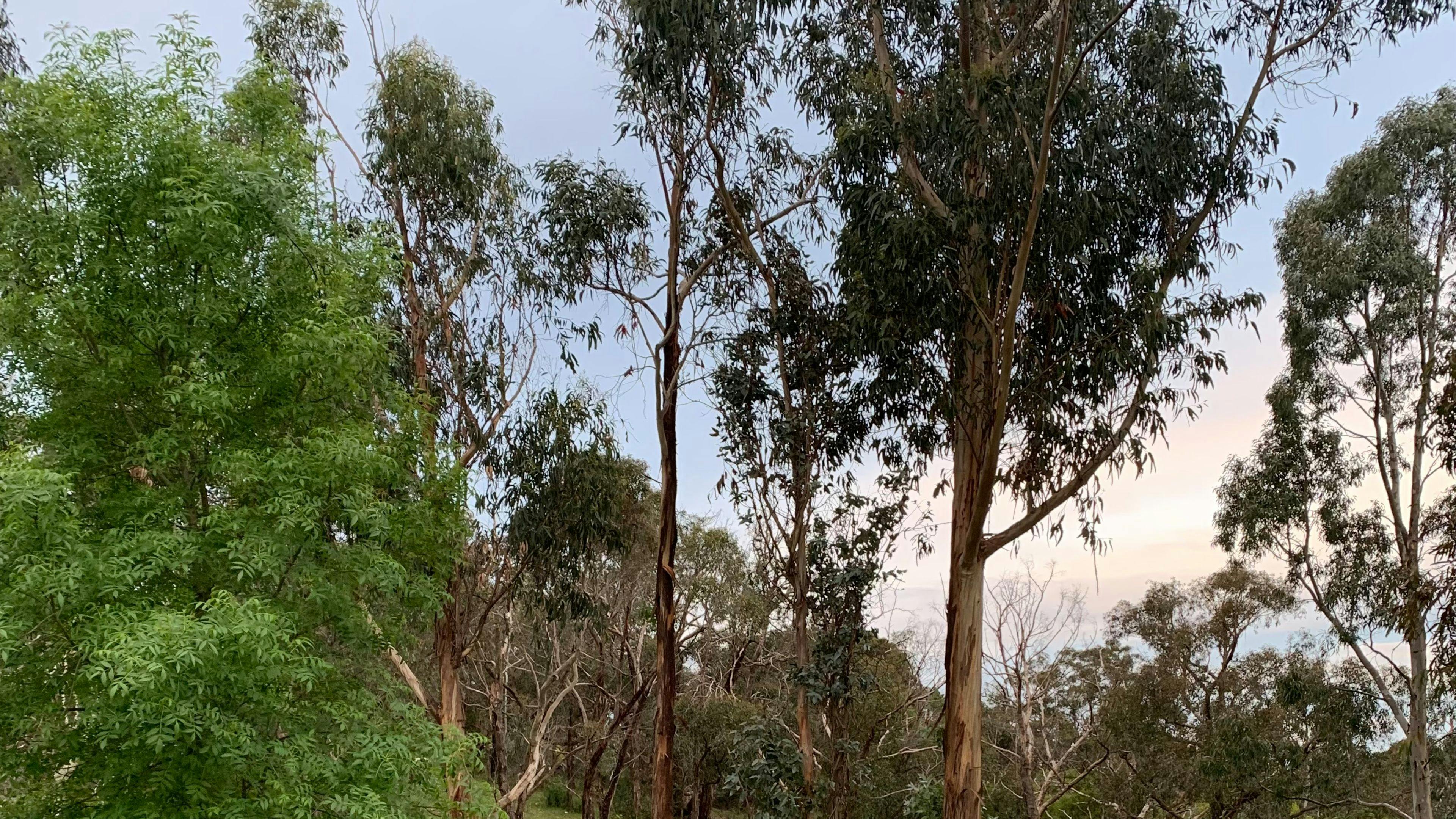 Bradbury Nature Retreat