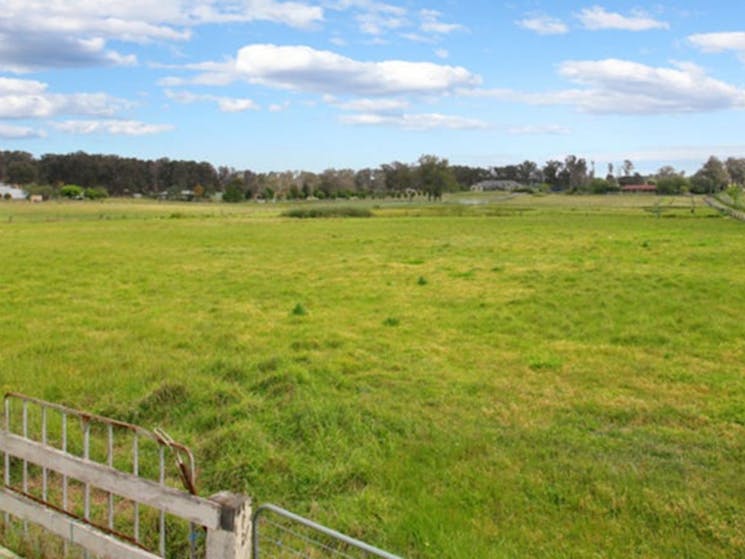 Llandilo Farmland Camping