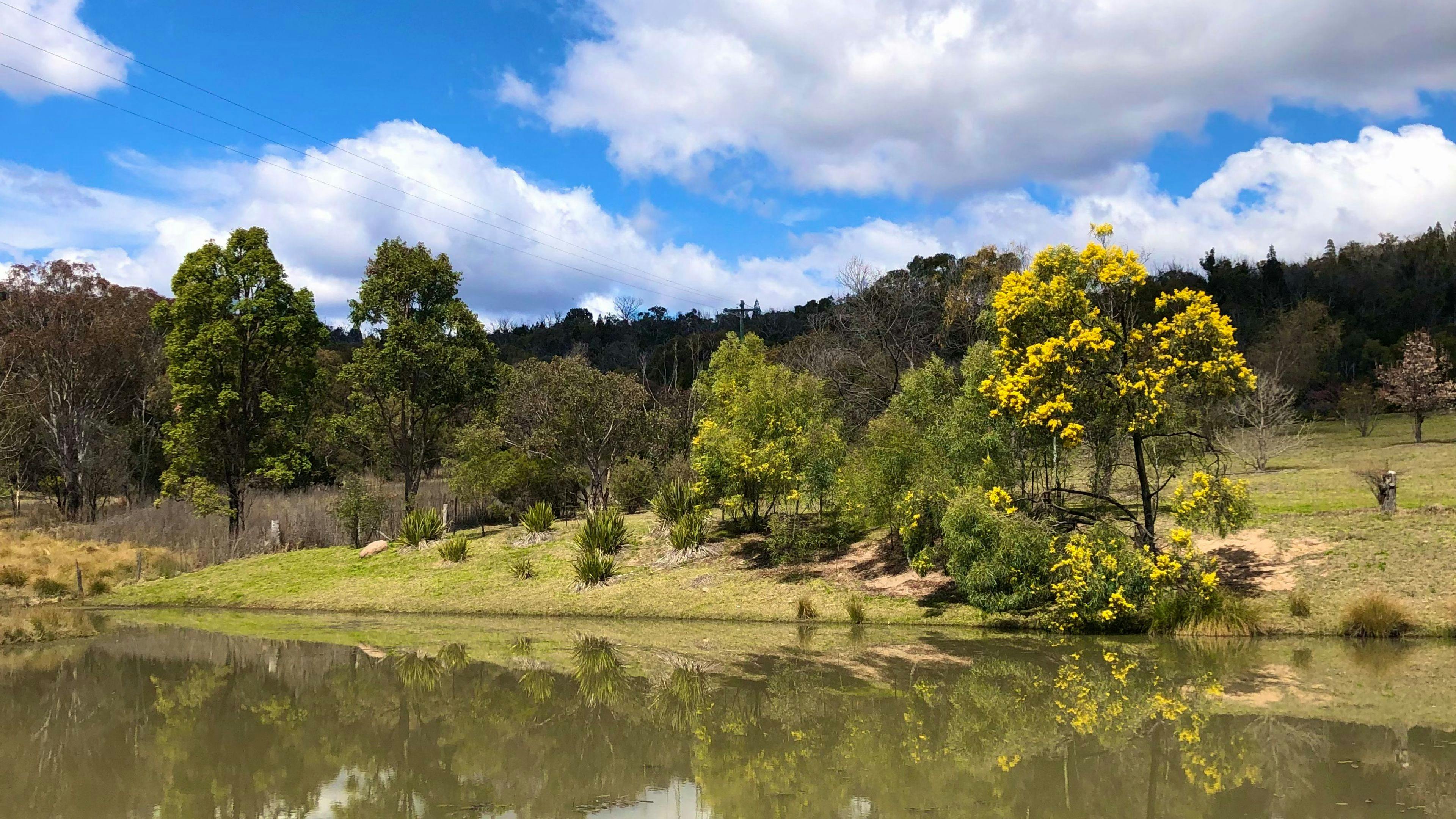 Loft Haven Meadows @ Girraween