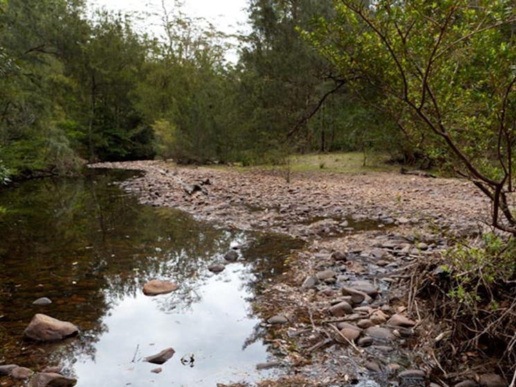 Long Gully campground terrain, Budawang National Park. Photo: Lucas Boyd/DPIE