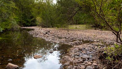 Long Gully campground terrain, Budawang National Park. Photo: Lucas Boyd/DPIE