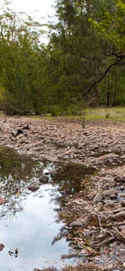 Long Gully campground terrain, Budawang National Park. Photo: Lucas Boyd/DPIE