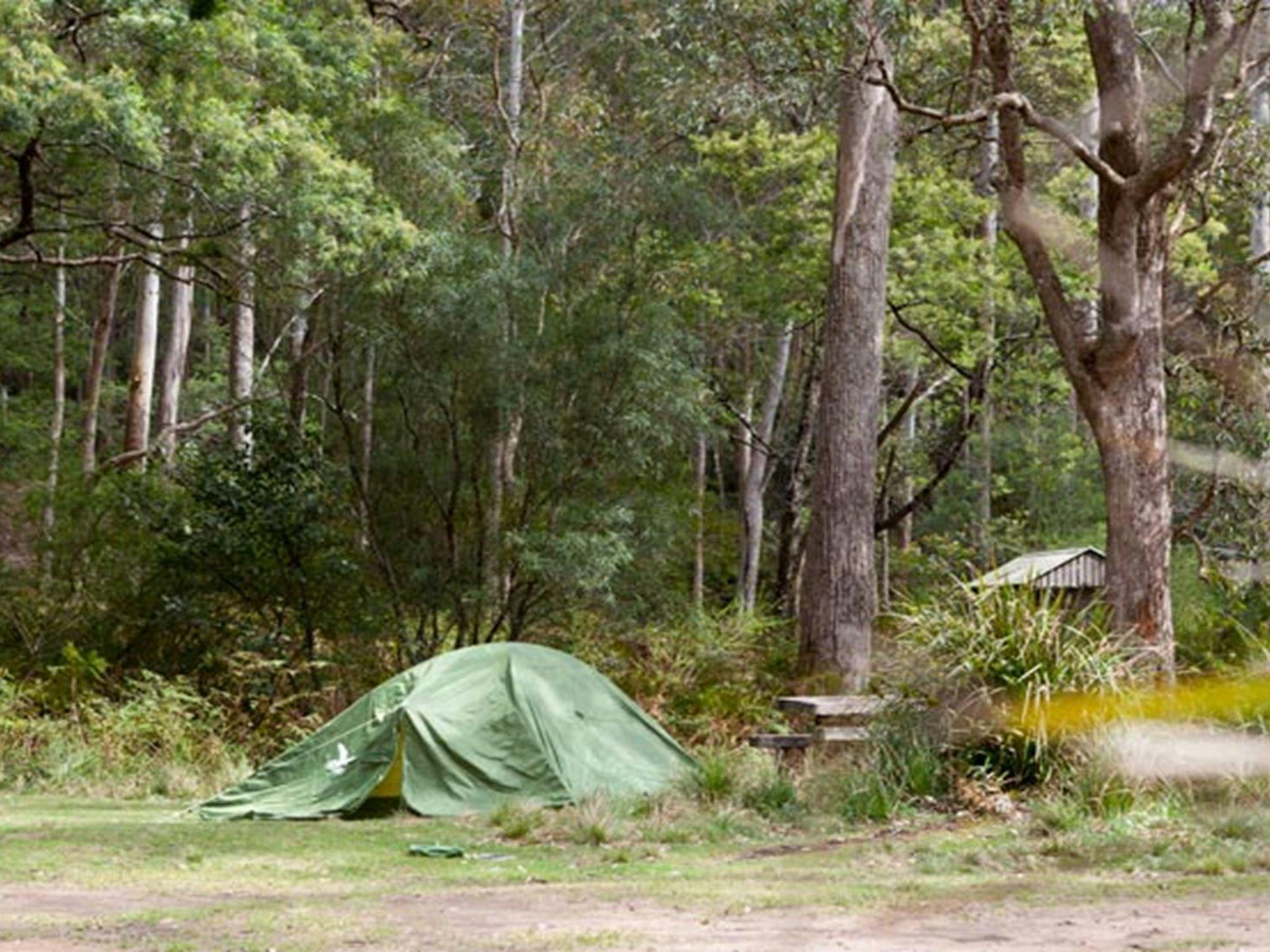 Long Gully picnic area