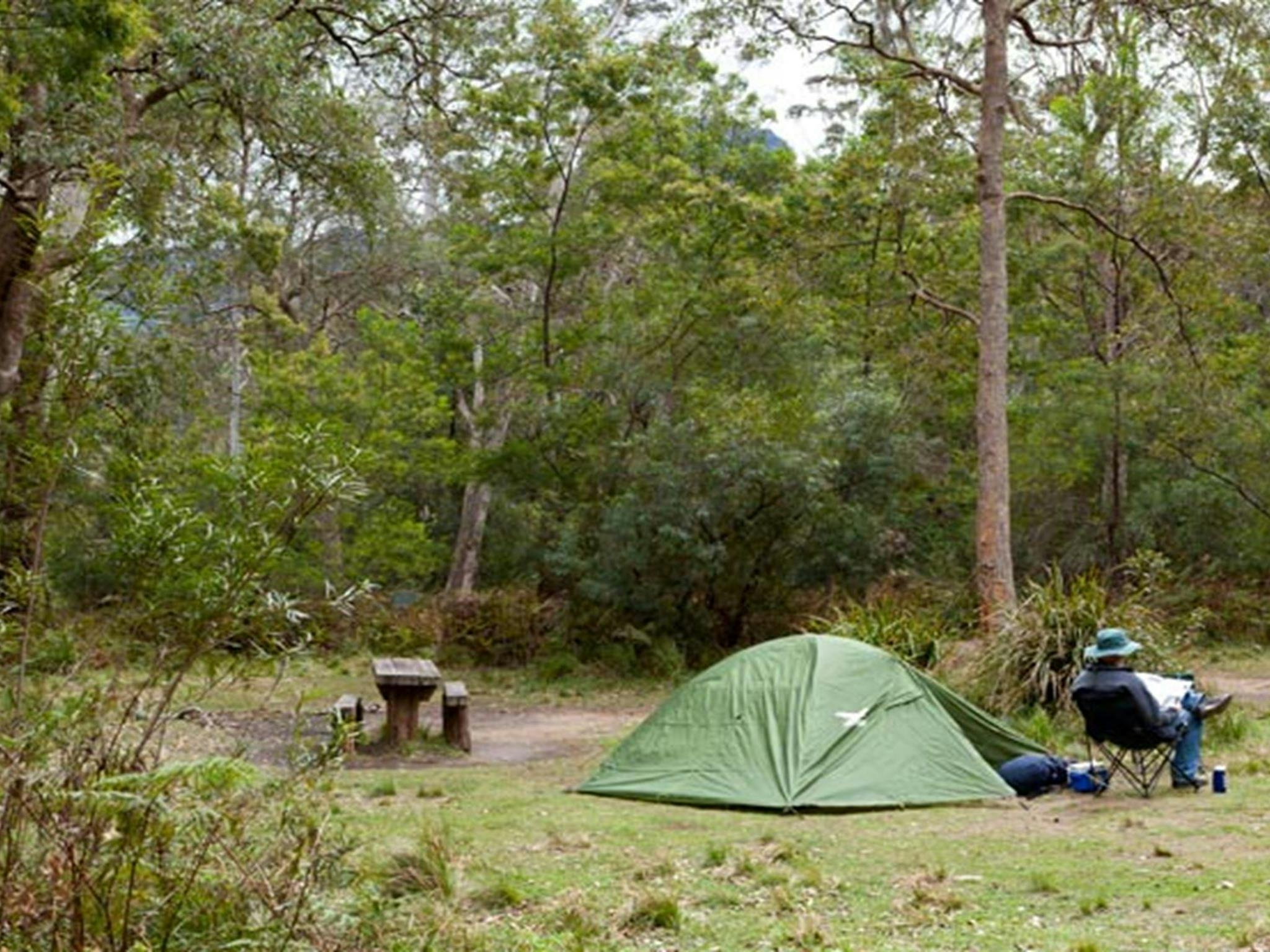 Long Gully picnic area, Budawang National Park. Photo: Lucas Boyd &copy; OEH