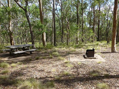 Image of Long Point campground and picnic area