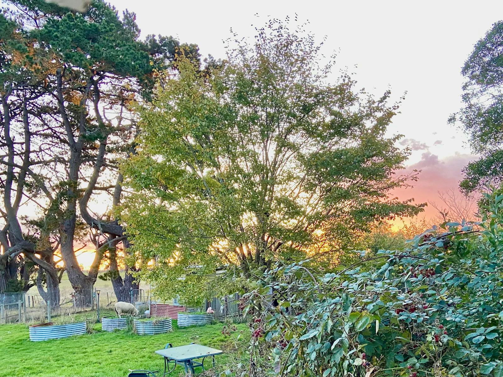 Longford Sunset Haven