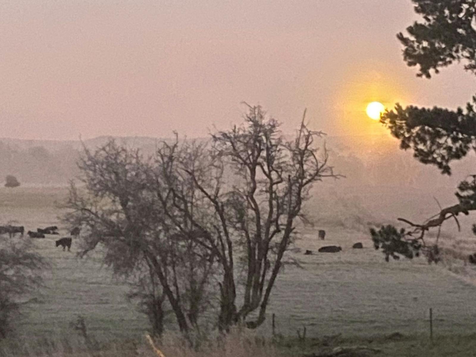 This picture was taken in July 2023 early morning.